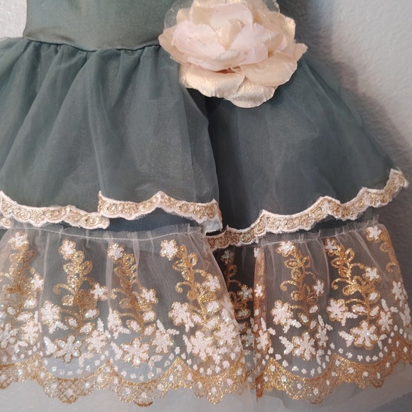 Weissman Dance Dress Costume Ballerina Sparkle Sequin - Picture 9 of 15